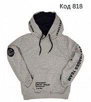 картинка Tr Реглан з капюшоном для хлопчика Bold 2148  140-152-164  4(2) шт магазин Одежда+ являющийся официальным дистрибьютором