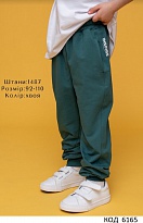 картинка Hart Штани 2-х нитка 092-110  для хлопчика 1487  4 шт. магазин Одежда+ являющийся официальным дистрибьютором