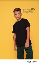 картинка Hart Футболка 140-164 УНІ  1704  5 шт. магазин Одежда+ являющийся официальным дистрибьютором