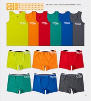 картинка BR Набір6 білизни для хлопчика(майка+боксери) 2372/3372    06,07   6(3)шт. магазин Одежда+ являющийся официальным дистрибьютором