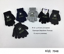 картинка PAK од.Перчатки для хлопчика в'язані R-12 С Акрил  "Skary"  розмір 13   12(6) шт														 магазин Одежда+ являющийся официальным дистрибьютором