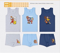 картинка BR Набір6 білизни для хлопчика(майка+боксери) 2434/3434    6(3) шт. магазин Одежда+ являющийся официальным дистрибьютором