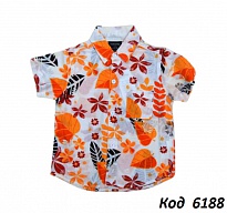 картинка ,Ch Сорочка для хлопчика короткий рукав кольорова 110-130(6-8 років)   5(2) шт. магазин Одежда+ являющийся официальным дистрибьютором