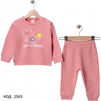картинка Tr Костюм для дівчинки вафелька AİR BABY 450806    6,9,12,18 міс. 4 шт магазин Одежда+ являющийся официальным дистрибьютором
