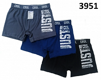 картинка BR Шорти боксери для хлопчика 3951  ПІДЛІТОК  6(3) шт магазин Одежда+ являющийся официальным дистрибьютором