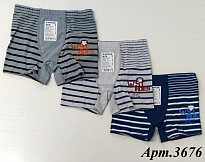 картинка BR  Шорти боксери для хлопчика 3676  06,07   6(3) шт магазин Одежда+ являющийся официальным дистрибьютором
