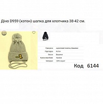 картинка ALex Шапка в'язана синтепон на трикотажі для хлопчика (на зав'язках) ДІНО D959   38-42  5(2)шт. магазин Одежда+ являющийся официальным дистрибьютором