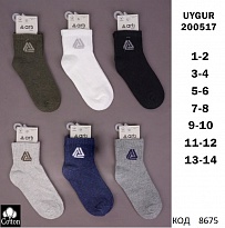 картинка ArtiKatamino Шкарпетки бавовняні для хлопчика Значок  200517 МІКС кольорів 12(3) шт. магазин Одежда+ являющийся официальным дистрибьютором