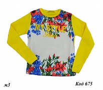 картинка ,Tr Кофта для дівчинки стрейч BNN 116-134 .4 шт. магазин Одежда+ являющийся официальным дистрибьютором