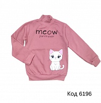 картинка Tr Реглан-стійка утеплений для дівчинки CitCit 14342  5-8    4шт магазин Одежда+ являющийся официальным дистрибьютором