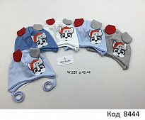 картинка AlaBabyШапка трикотажна для хлопчика (на зав'язках) W-223 42-44  5 шт. магазин Одежда+ являющийся официальным дистрибьютором