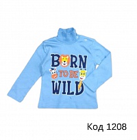 картинка Tr Реглан-стійка утеплений для хлопчика CitCit 10225  1-4    4шт магазин Одежда+ являющийся официальным дистрибьютором